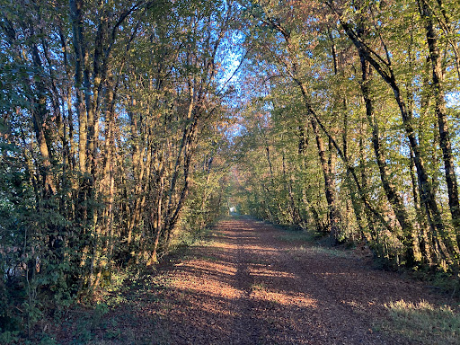 Commune Usson Du Poitou à Usson-du-Poitou, Vienne