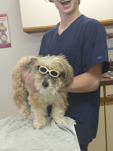 Happy Pet Veterinary Hospital image