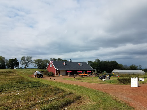 Pumpkin Patch «Liberty Mills Farm», reviews and photos, 9166 Liberty Mills Rd, Somerset, VA 22972, USA