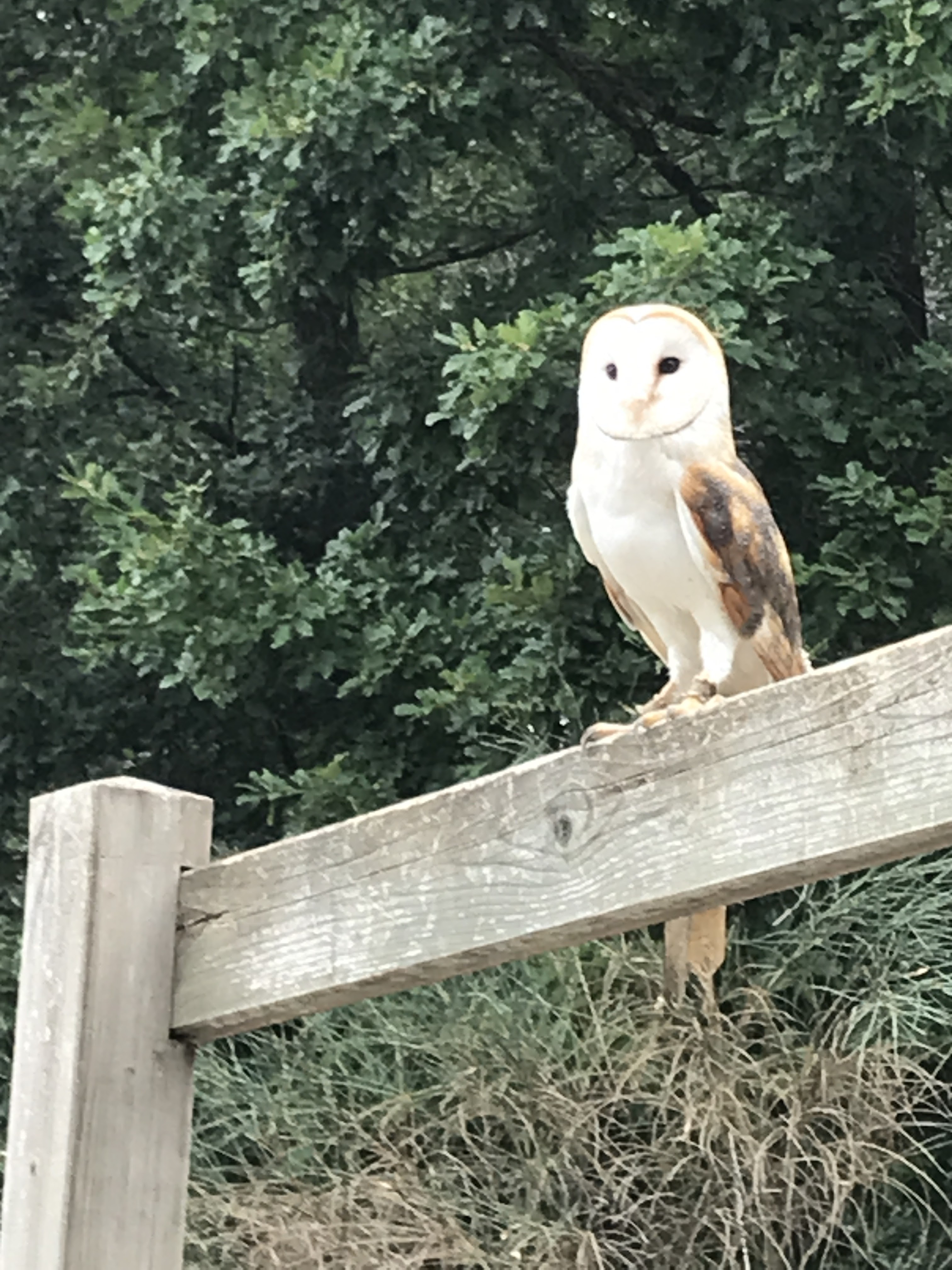 Photo n° 3 de l'avis de Patricia. fait le 23/08/2022 à 11:14