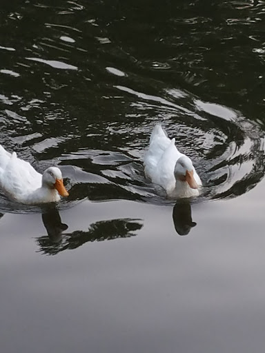 Golf Course «Alfred Tup Holmes Golf Course», reviews and photos, 2300 Wilson Dr SW, Atlanta, GA 30311, USA