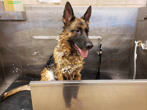 Pet Supply Store «Pet Supplies Plus», reviews and photos, 1616 Precinct Line Rd, Hurst, TX 76054, USA