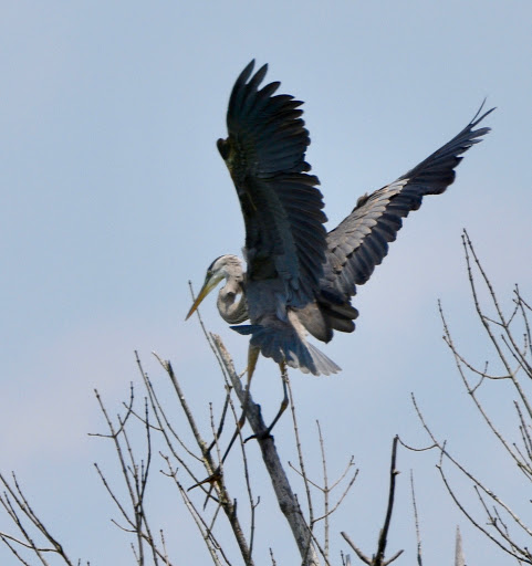 Nature Preserve «Jug Bay Wetlands Sanctuary», reviews and photos, 1361 Wrighton Rd, Lothian, MD 20711, USA