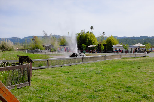 Tourist Attraction «Old Faithful Geyser of California», reviews and photos, 1299 Tubbs Ln, Calistoga, CA 94515, USA