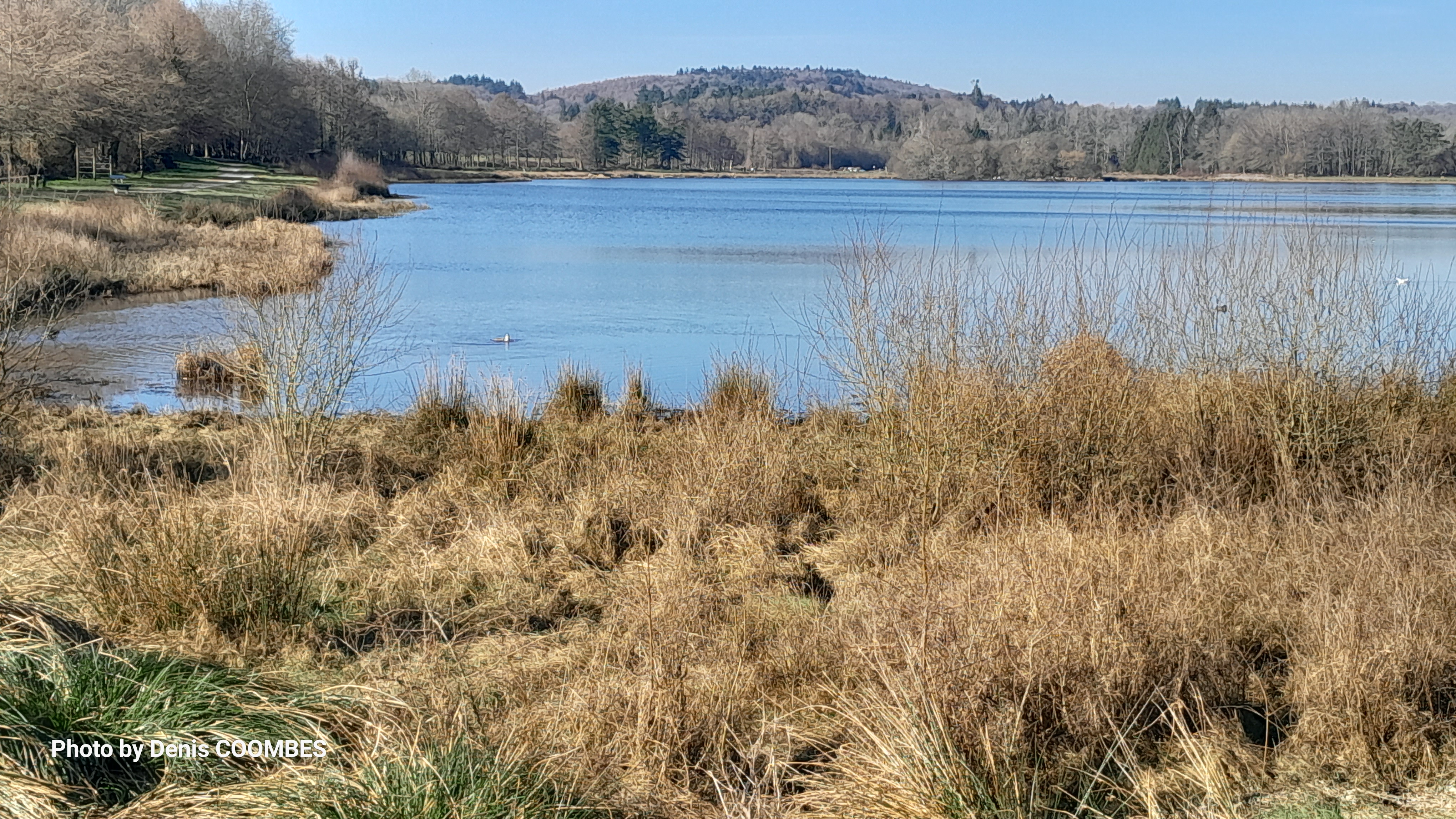 Photo n° 3 de l'avis de Denis.O fait le 13/02/2023 à 18:21