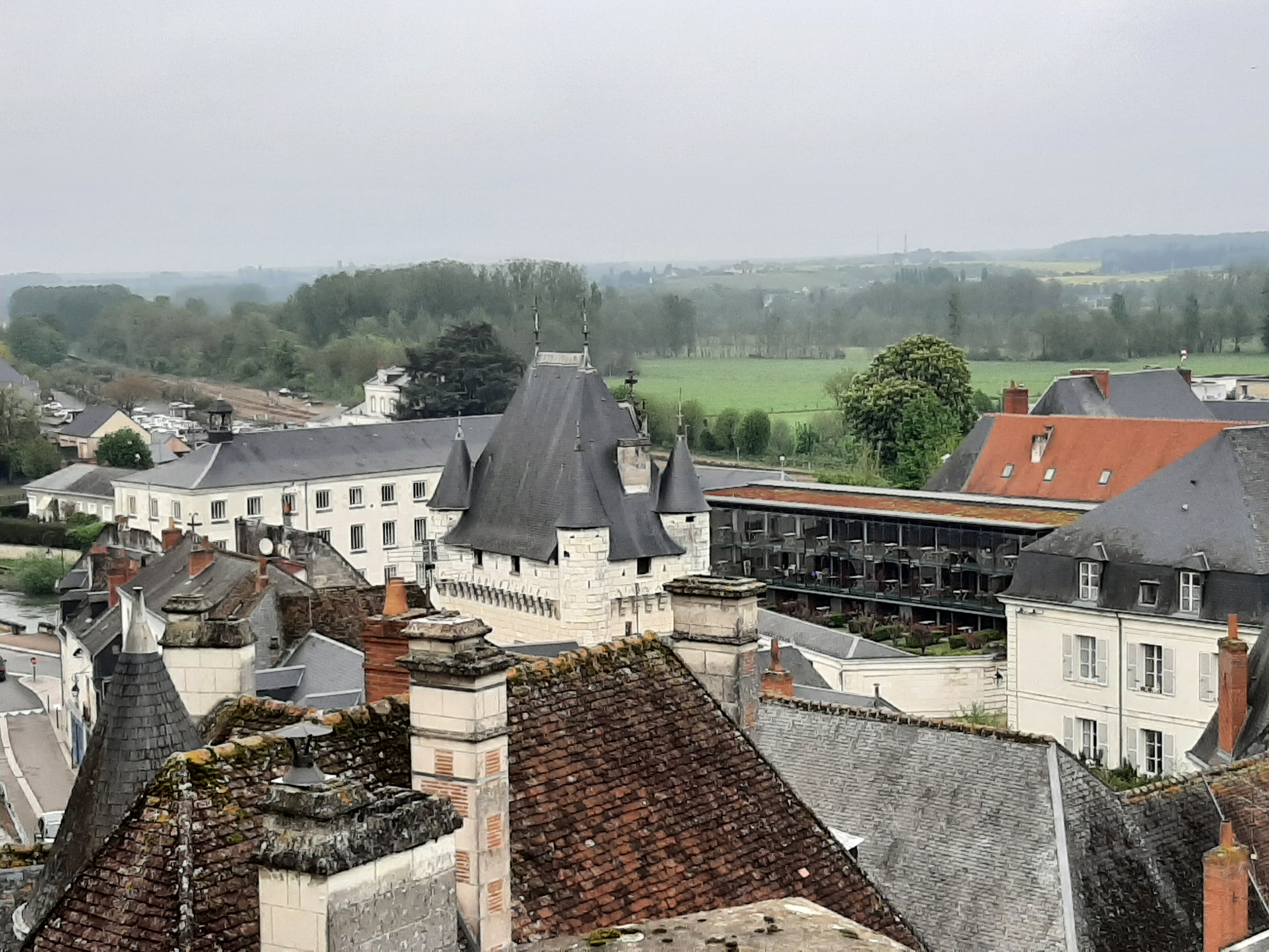 Photo n° 20 de l'avis de Olive.. fait le 26/04/2022 à 19:12