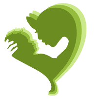 Hearts and Hands Doula Services - Car repair in , New York - Rated 5.0/5