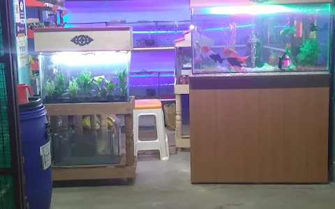 sai savinder aquarium and pets shop image