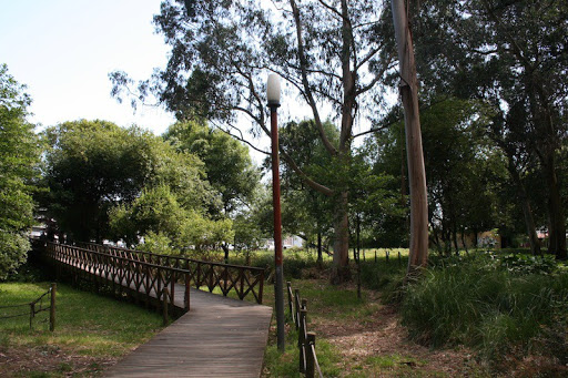 Parque do Carriçal