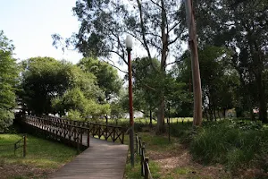 Parque do Carriçal image