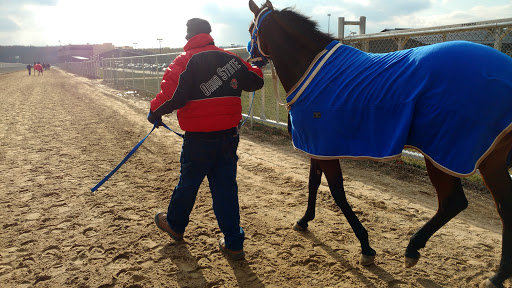 Car Racing Track «Hollywood Gaming at Mahoning Valley Race Course», reviews and photos, 655 N Canfield Niles Rd, Youngstown, OH 44515, USA