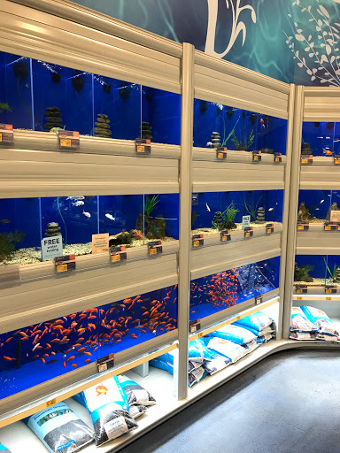 Pet Supply Store «PetSmart», reviews and photos, 5013 S Cleveland Ave, Fort Myers, FL 33907, USA