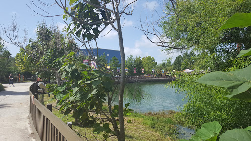 Water Park «Wild Adventures Theme Park», reviews and photos, 3766 Old Clyattville Rd, Valdosta, GA 31601, USA