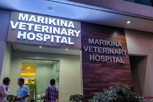 Marikina Veterinary Hospital image