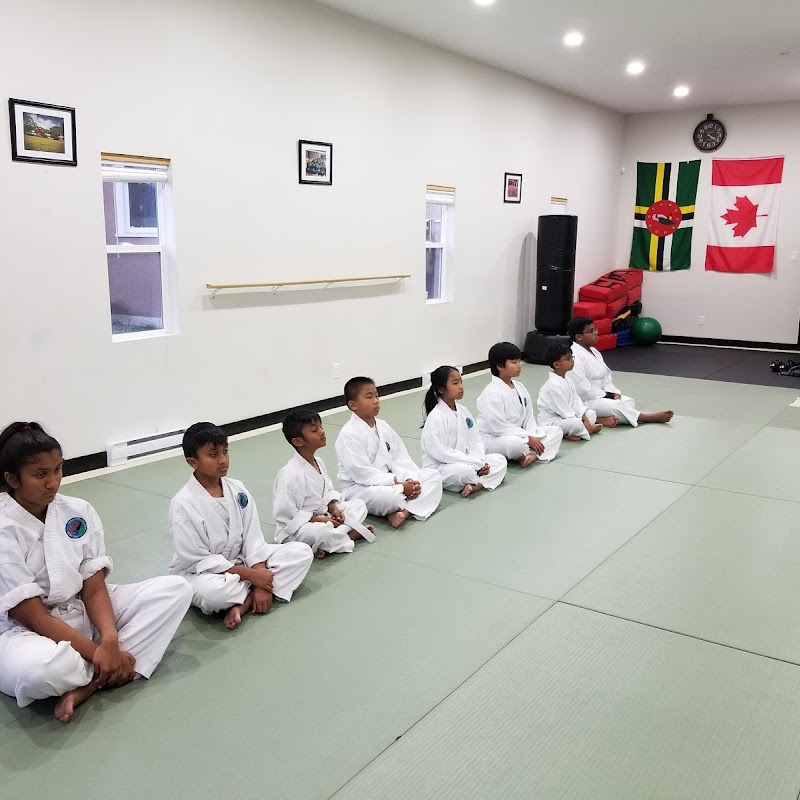 Universal Martial Art Robin Ryu Jiu Jitsu