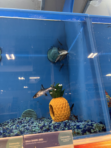 Pet Supply Store «PetSmart», reviews and photos, 3401 Erie Blvd E, Syracuse, NY 13214, USA