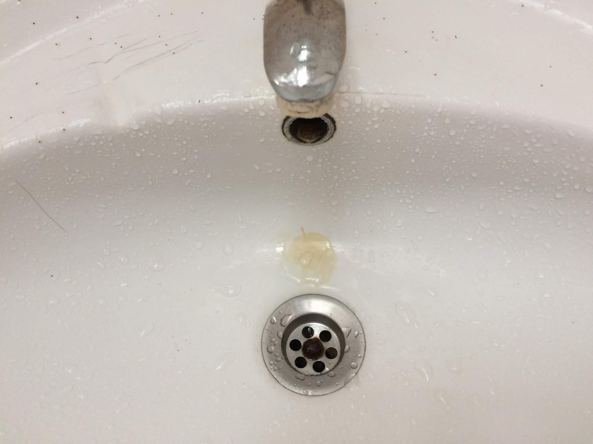 Photo n° 7 de l'avis de Franck.h fait le 25/07/2019 à 10:00