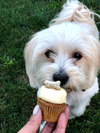 Cupcake Shop «Smallcakes: A Cupcakery of Naperville», reviews and photos, 115 E Ogden Ave #119, Naperville, IL 60563, USA