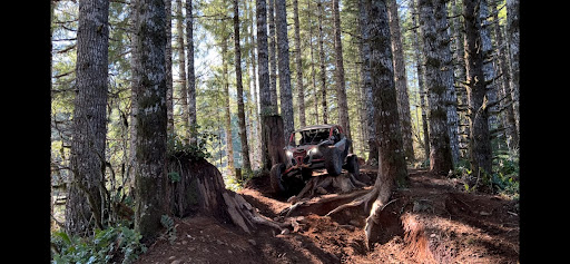 Motor Vehicle Dealer «SK Northwest», reviews and photos, 250 SE Division Pl, Portland, OR 97202, USA