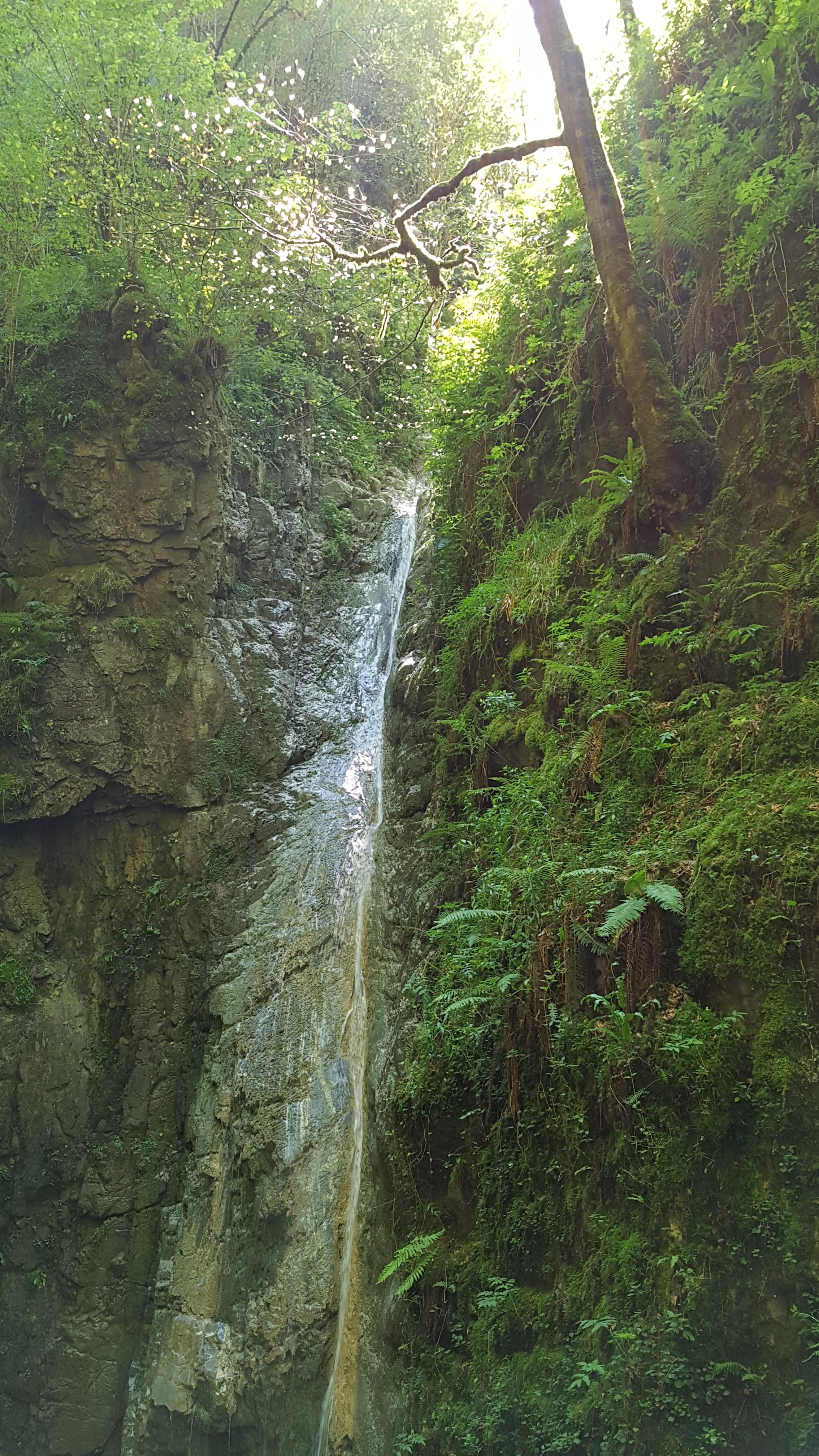 Photo n° 1 de l'avis de Yann.E fait le 23/07/2018 à 18:00