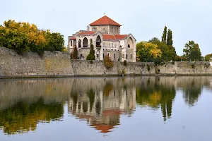 Tata Castle image