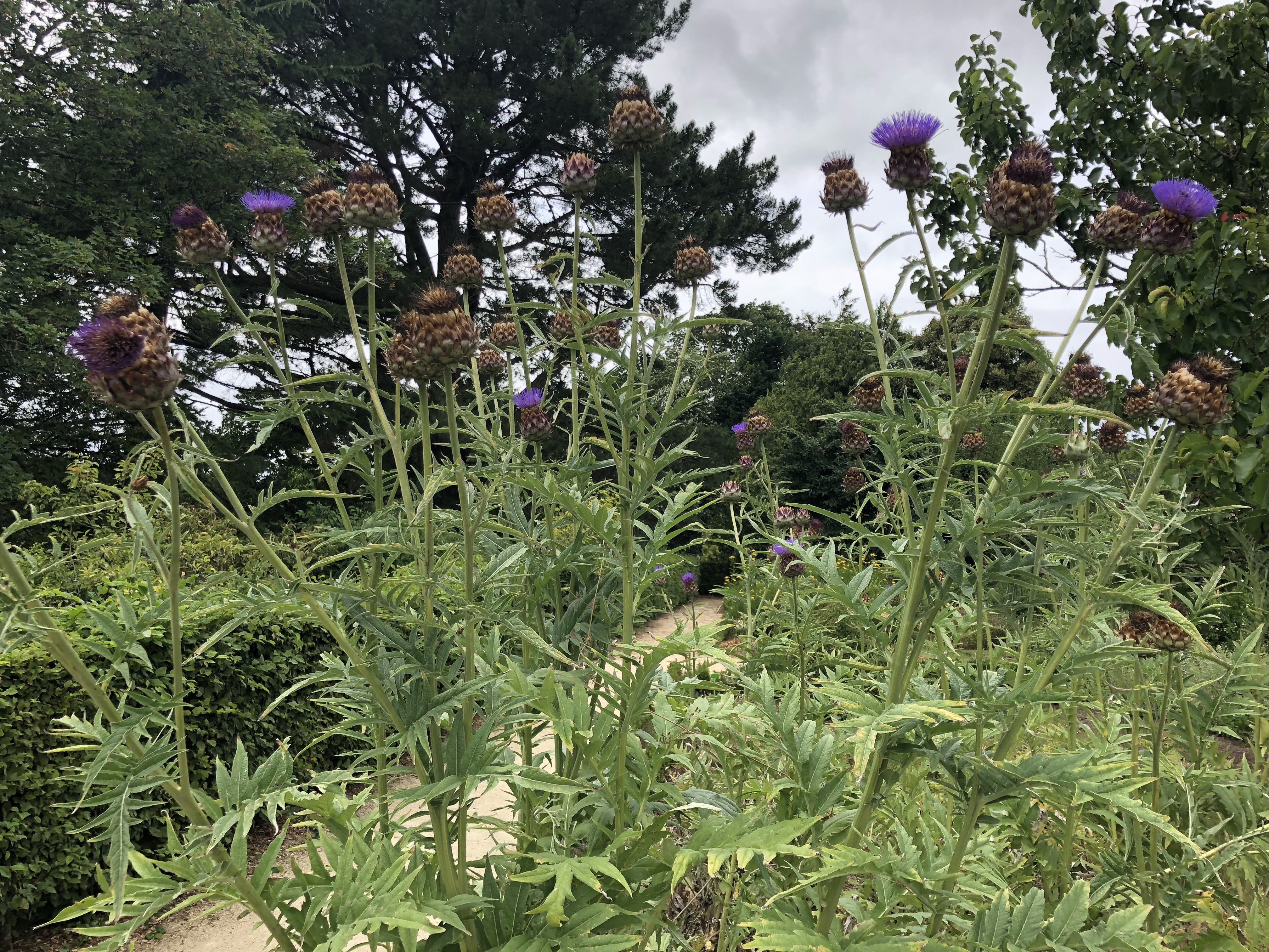 Photo n° 2 de l'avis de Alan.u fait le 28/07/2018 à 18:25