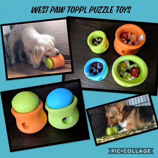 Pet Store «Woofs & Waves», reviews and photos, 5426 Arrowhead Pkwy E, Sioux Falls, SD 57110, USA