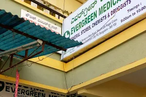 EverGreen Clinic & Medicals image