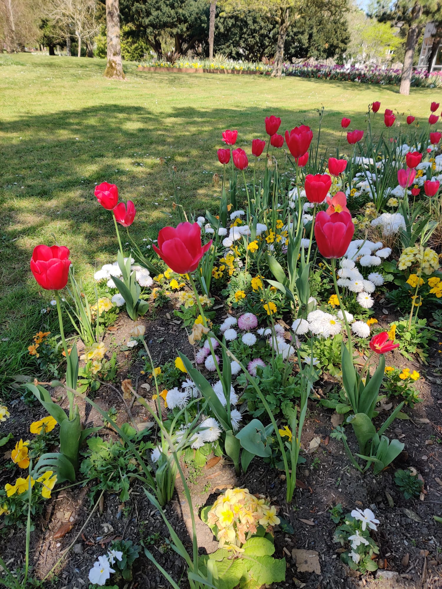 Photo n° 17 de l'avis de Pierre.N fait le 20/04/2022 à 22:27