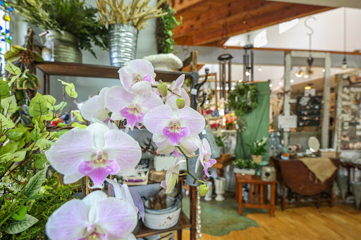 Florist «Grass Valley Florist», reviews and photos, 2153 Nevada City Hwy, Grass Valley, CA 95945, USA