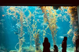 Birch Aquarium at Scripps Institution of Oceanography image