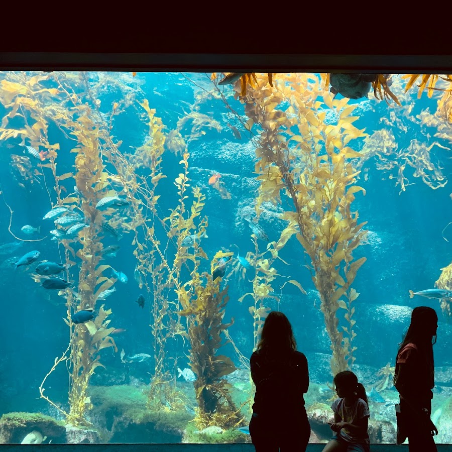 Birch Aquarium at Scripps Institution of Oceanography