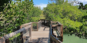 Clam Bayou Nature Preserve - Kayak Launch