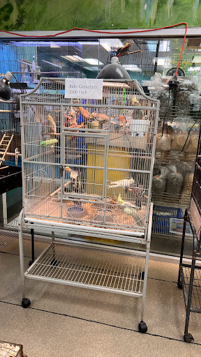 Pet Store «Parrots Of The World Aquarium and Pet Center», reviews and photos, 316 Sunrise Hwy #1, Rockville Centre, NY 11570, USA