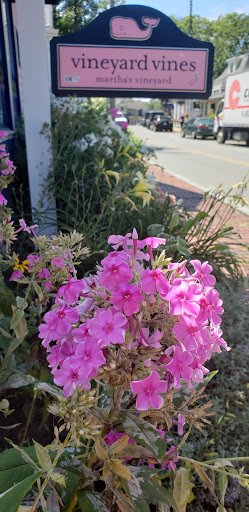 Clothing Store «Vineyard Vines», reviews and photos, 56 Narragansett Ave, Oak Bluffs, MA 02557, USA