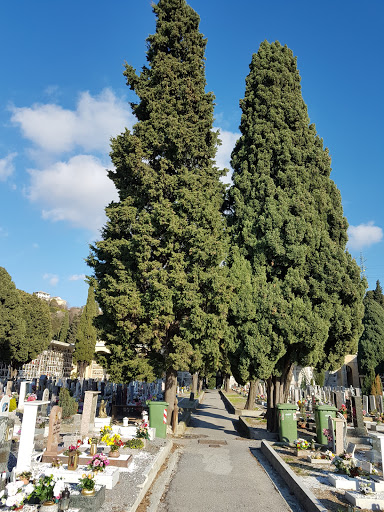 Cimitero della Castagna