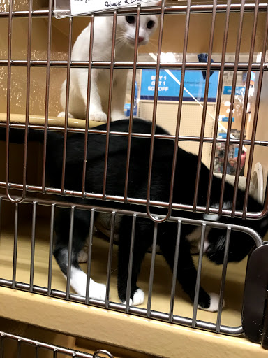 Pet Supply Store «PetSmart», reviews and photos, 9905 E Independence Blvd, Matthews, NC 28105, USA