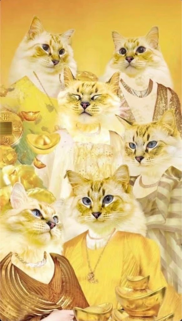 50嵐 竹北博愛店 的照片