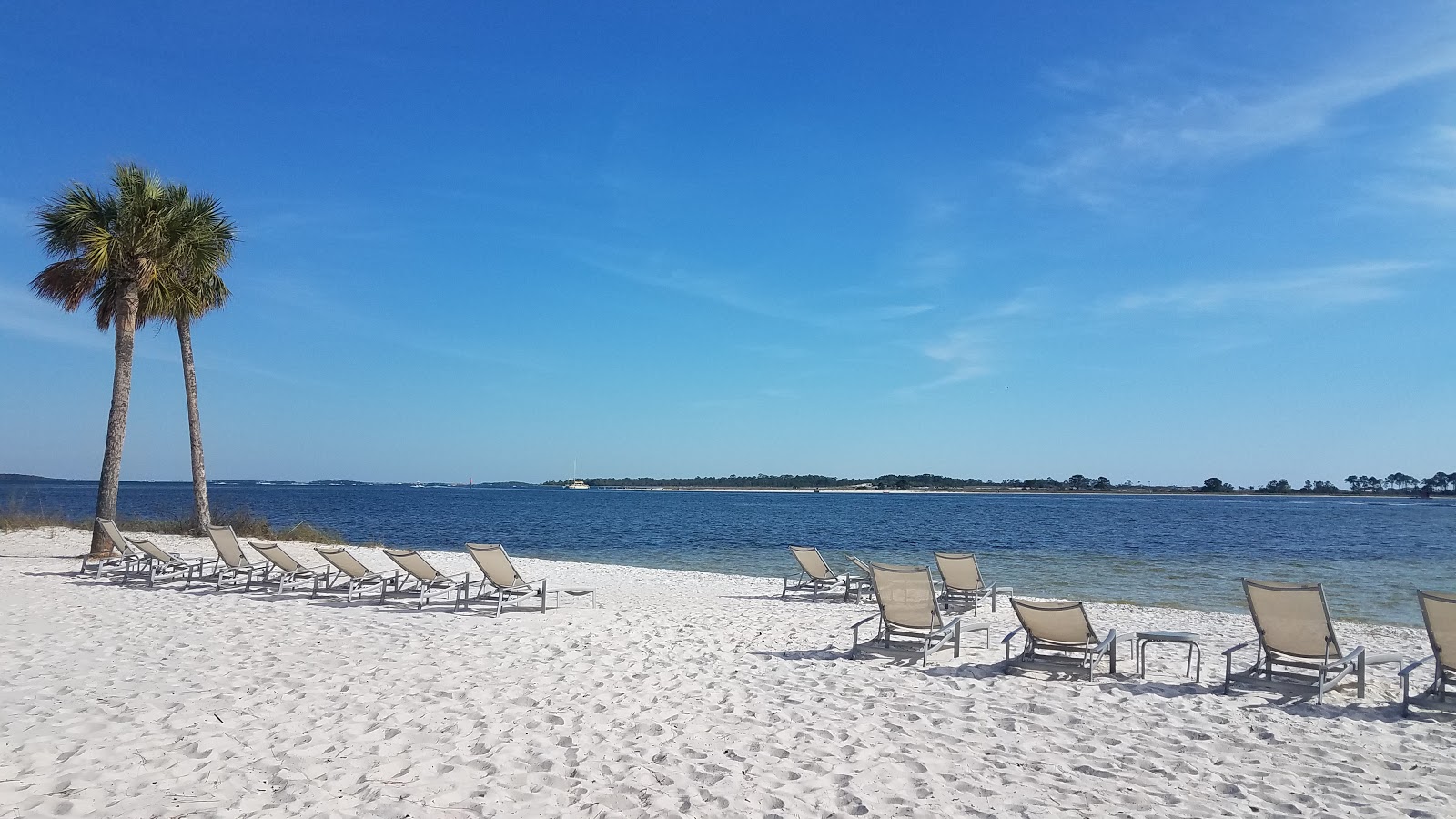 Alligator Point Beach Delwood - AF1QipNYcywcxr8ITWWWGGjJK4Yph6pOevstT4CcLkfo=s1600