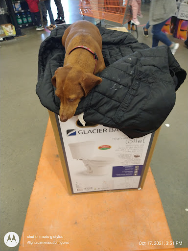 Home Improvement Store «The Home Depot», reviews and photos, 701 W Edgar Rd, Linden, NJ 07036, USA