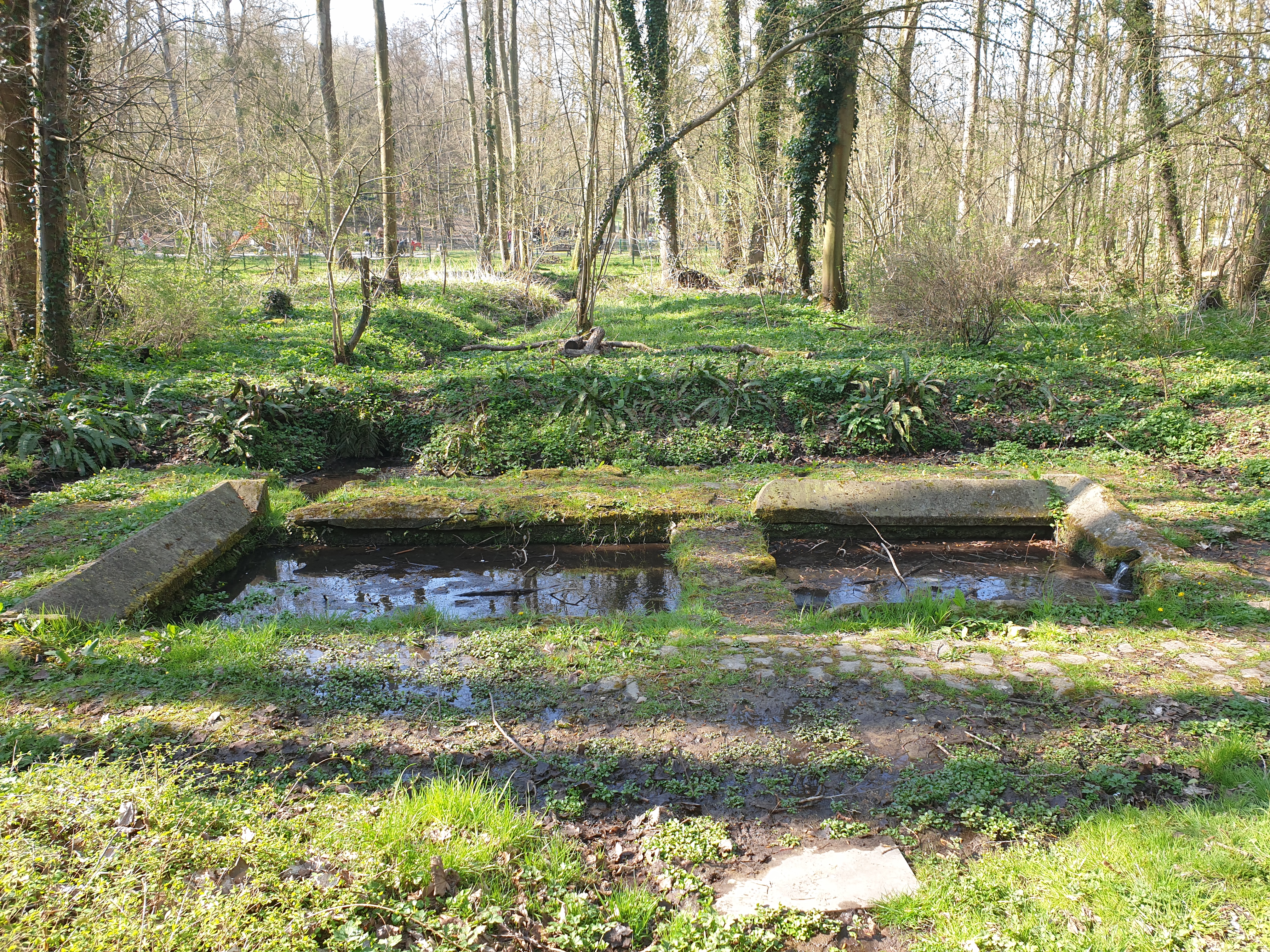 Photo n° 2 de l'avis de Maryline.i fait le 27/03/2022 à 12:53