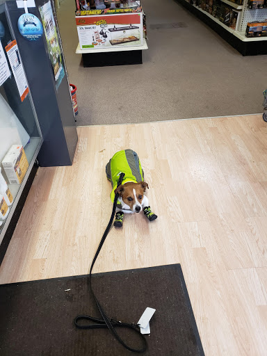 Pet Supply Store «Best Pets», reviews and photos, 905 Washington Ave, Detroit Lakes, MN 56501, USA