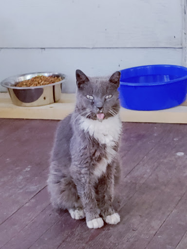 Pet Supply Store «Pet Finatics», reviews and photos, 3150 Navarre Ave, Oregon, OH 43616, USA