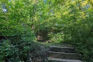 Cat Steps Trail image