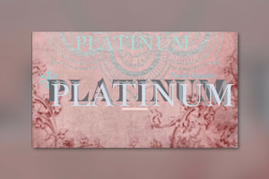 Platinum Salon and Day Spa