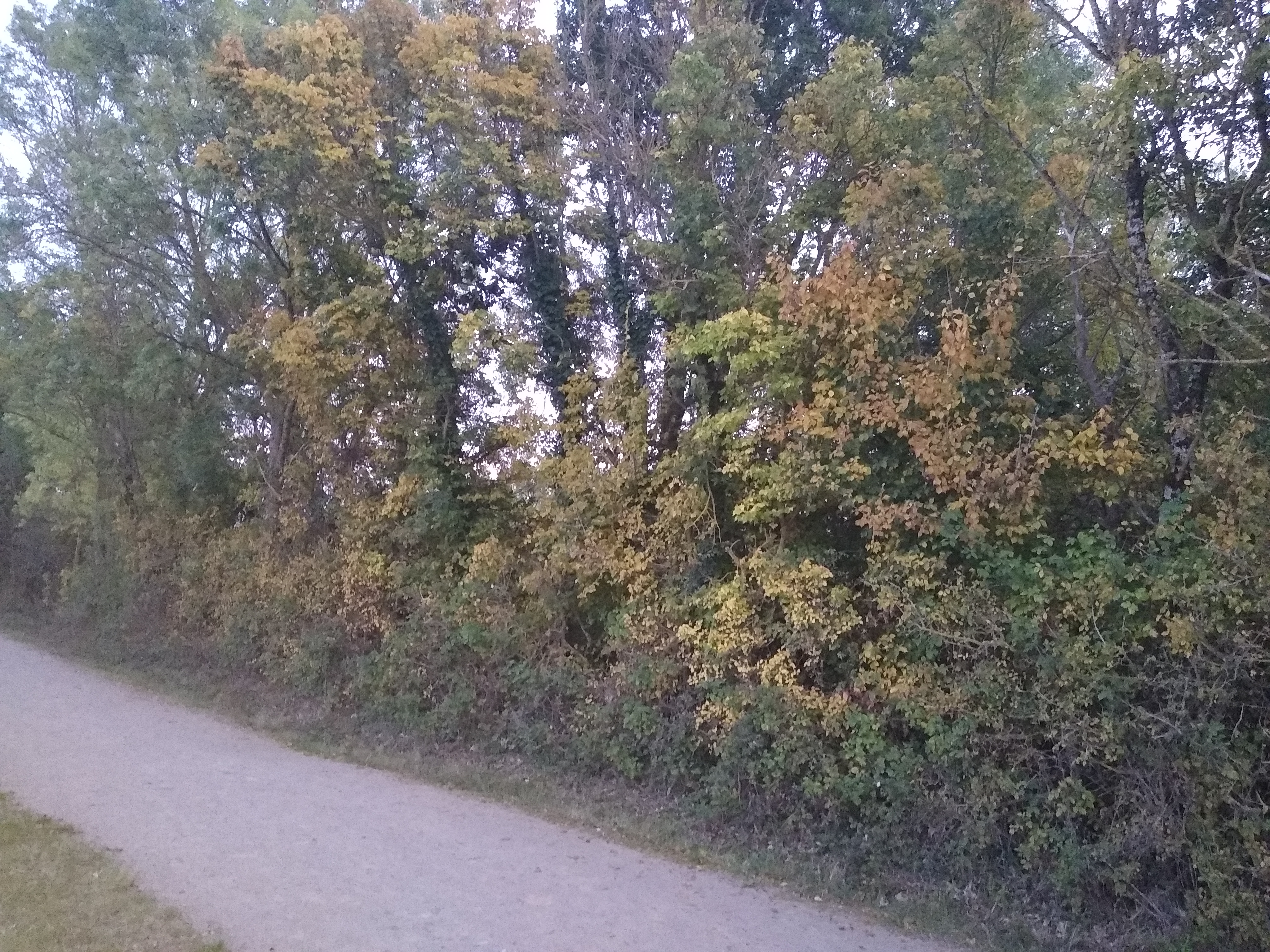 Photo n° 15 de l'avis de Cahrla.l fait le 08/10/2020 à 18:42