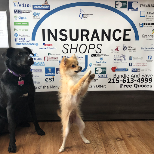 Insurance Agency «Insurance Shops», reviews and photos