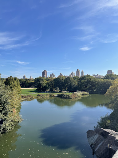 Unlimited Biking Central Park image 4