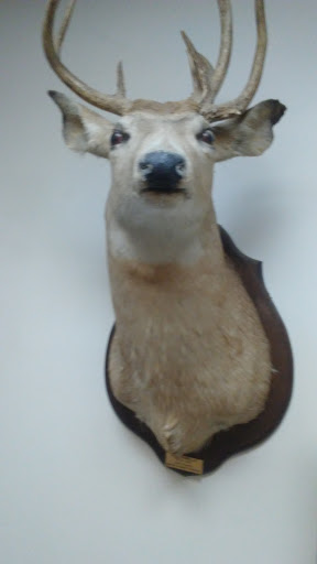 Auto Parts Store «NAPA Auto Parts - AG Supply Inc», reviews and photos, 502 Depot St, Tallulah, LA 71282, USA