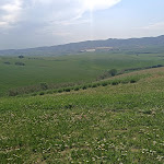 Photo n°3 de l'avis de Gio.o fait le 09/05/2022 à 14:43 sur le  La Baracchina à Orciano Pisano